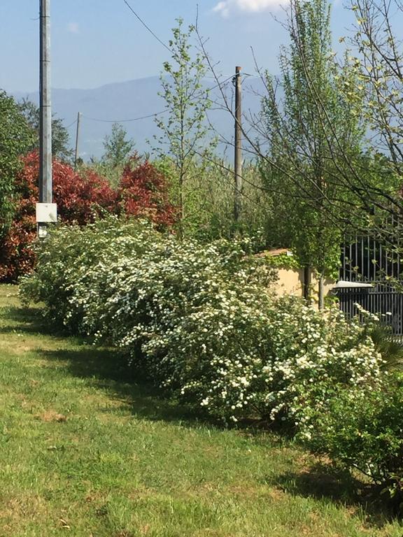 Lago Gabbiano Podere Casanova Pistoia Exterior foto