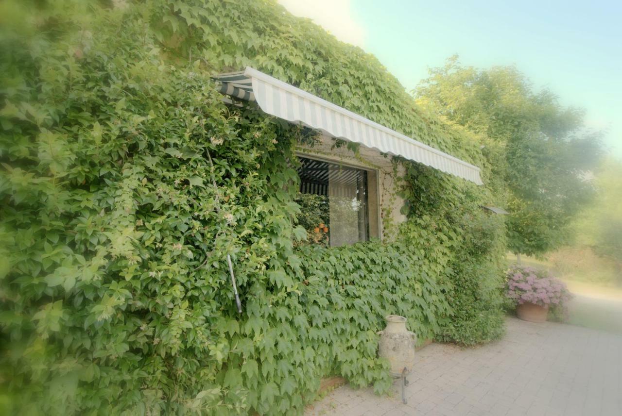 Lago Gabbiano Podere Casanova Pistoia Exterior foto